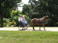 Amish History